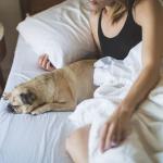 are fibroids causing you stress - woman relaxing in bed with her dog