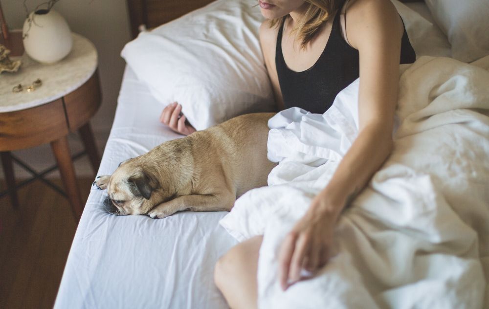 are fibroids causing you stress - woman relaxing in bed with her dog