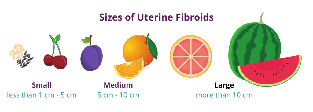 sizes of uterine fibroids compared to fruits