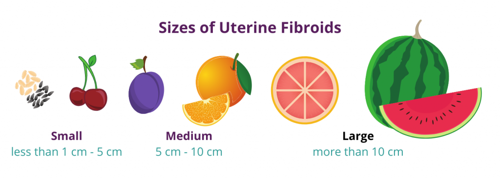 tamaños de fibromas uterinos en comparación con frutas