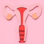 what is considered a large fibroid - blog (1)