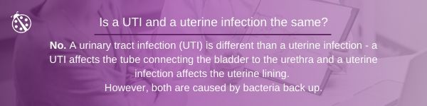 fibroids and UTIs