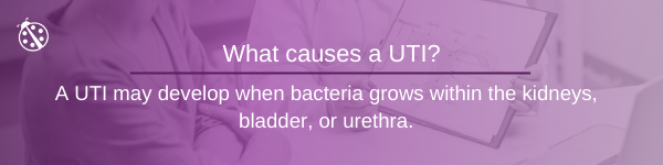 fibroids and UTIs