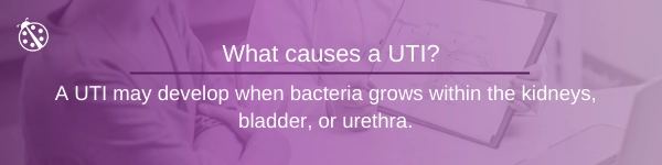 fibroids and UTIs