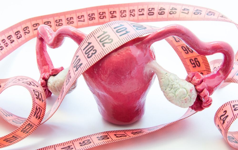 fibroid size