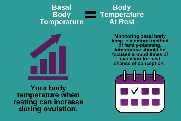 Basal Body Temperature 1