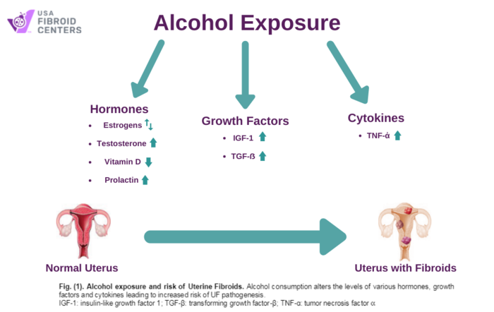 Effect of alcohol on fibroids