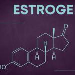 High Estrogen Levels? Here’s What You Need to Know