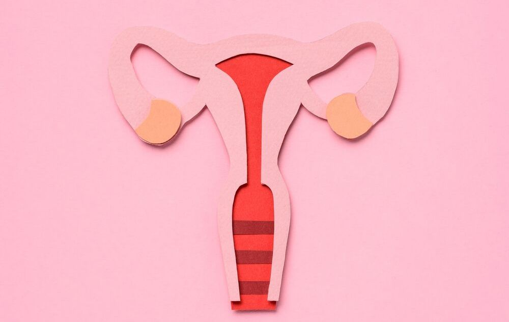 Image of uterius