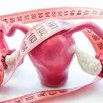 average size of uterus