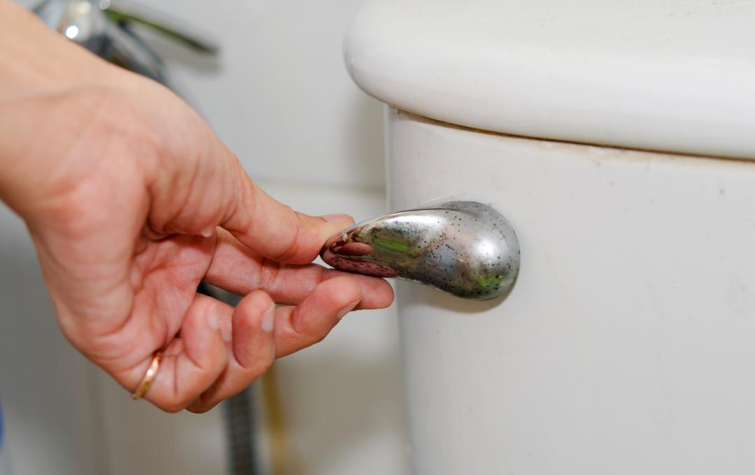 Causes Of Urinary Urgency In Females 3 Difference between urinary urgency and frequent urination