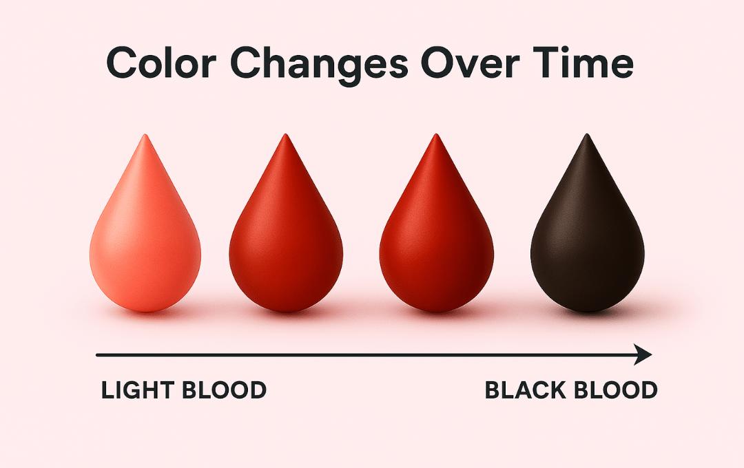 Understanding Black Period Blood 1 Understanding Black Period Blood
