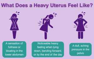 What Does a Heavy Uterus Feel Like?