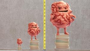 Pictures Of Fibroids 12 Filbert the Fibroid demonstrating sizes of fibroids